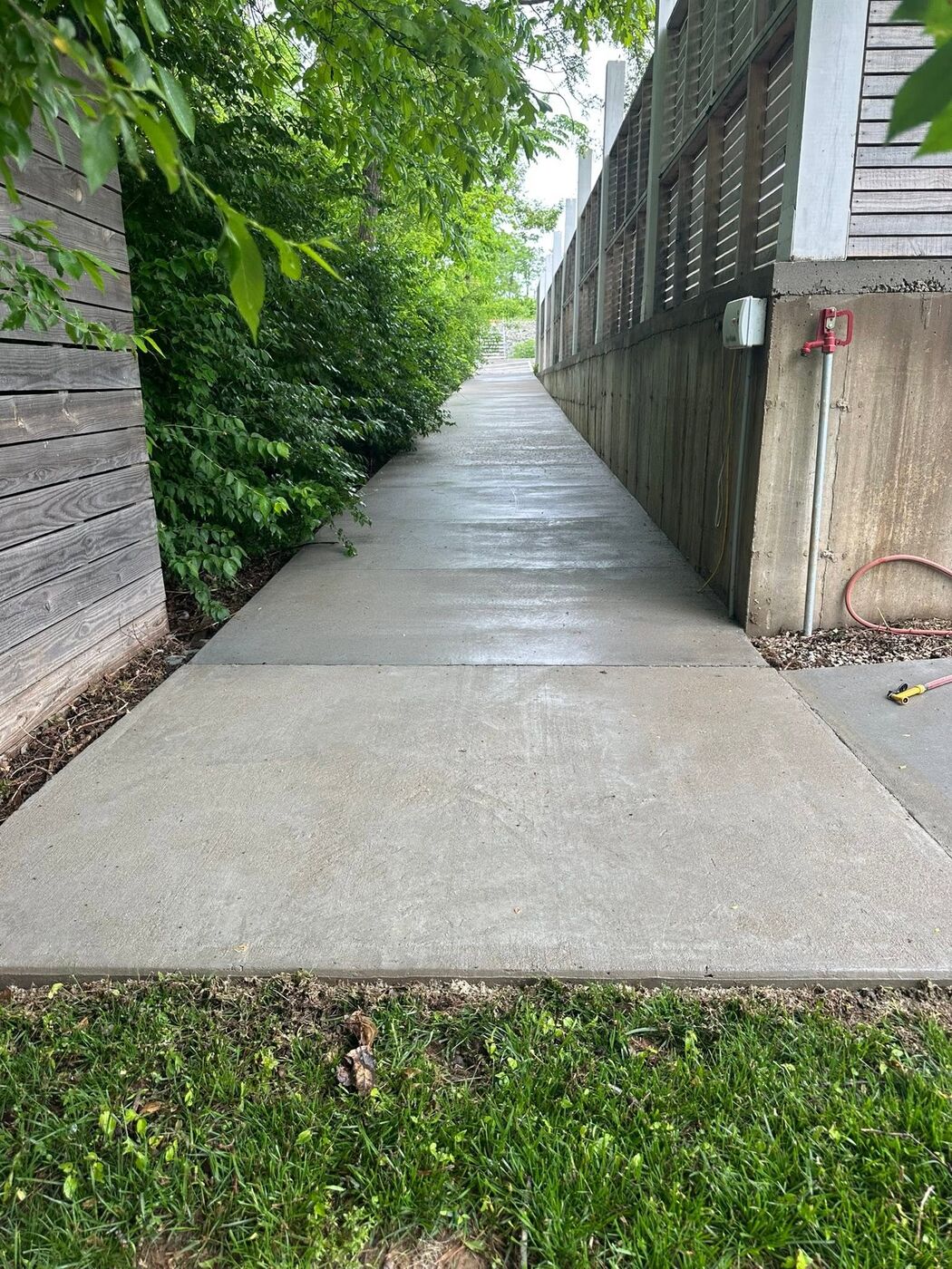 Concrete walkway after cleaning