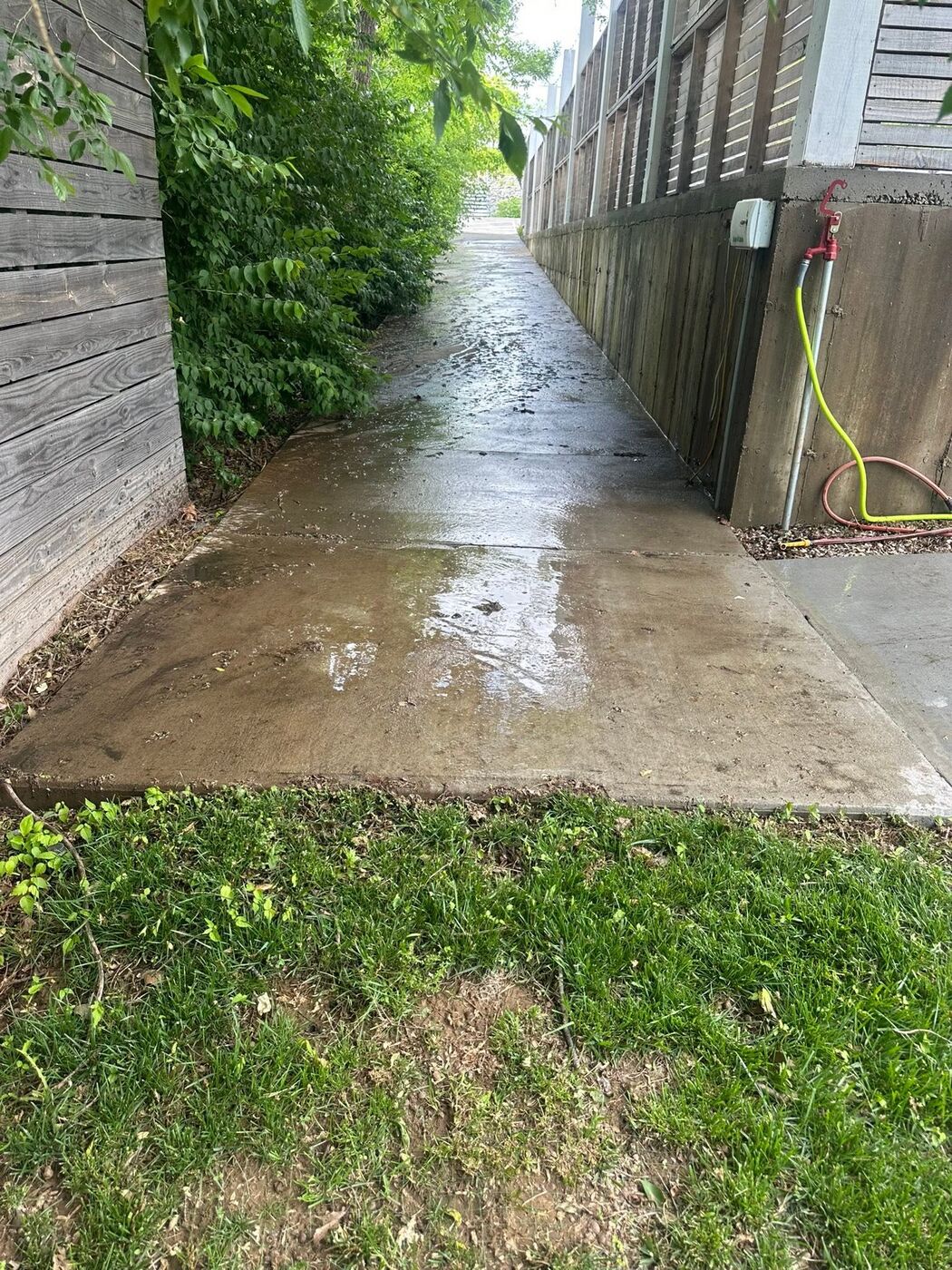 Concrete walkway before cleaning